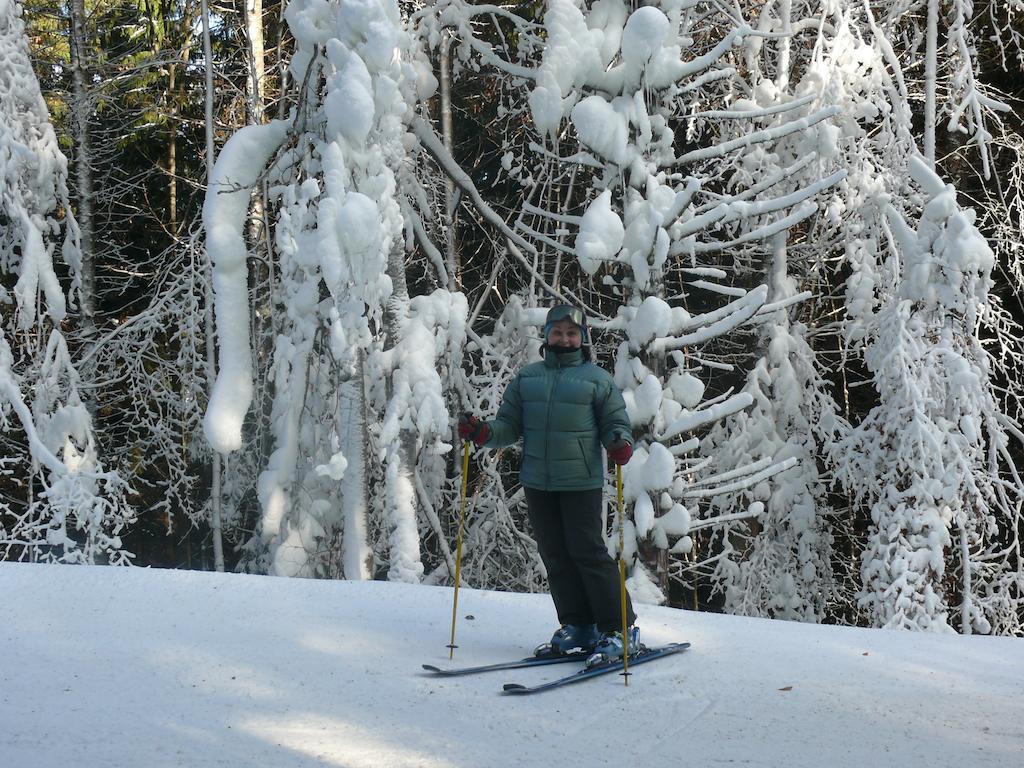 Chalet Truten Ворохта Экстерьер фото