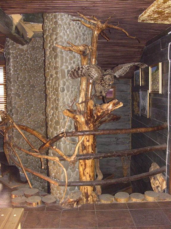 Chalet Truten Ворохта Экстерьер фото